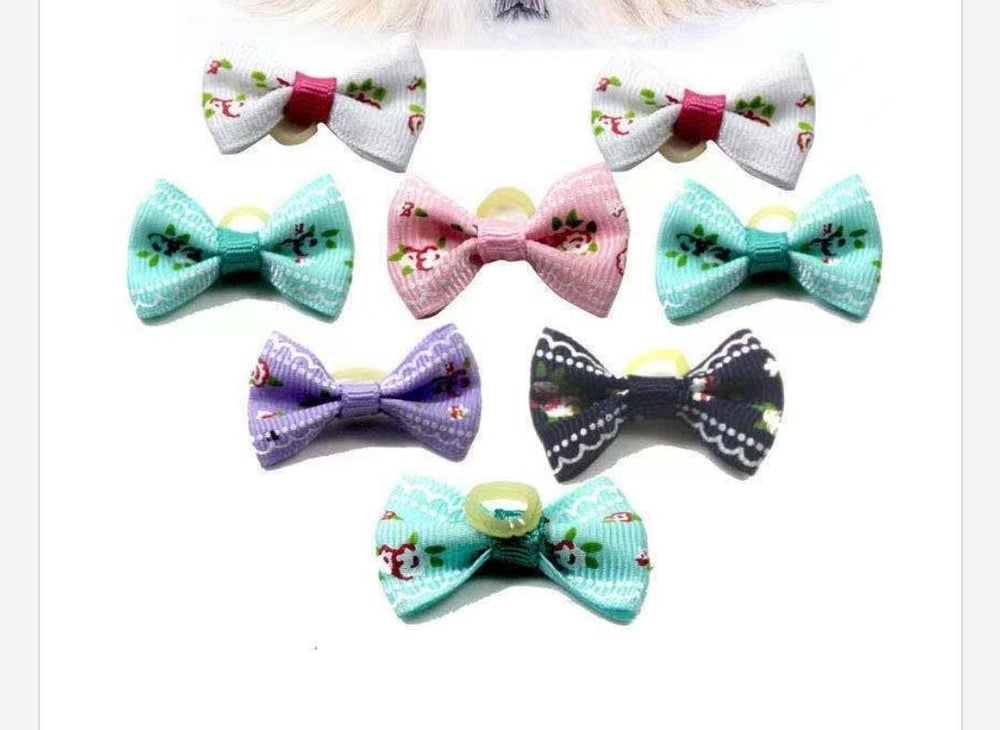 MOLLETTINE PER ANIMALI