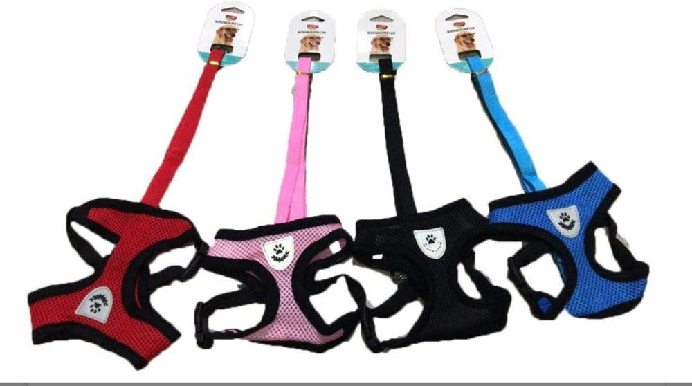 PETTORINA CON GUINZAGLIO PER CANI