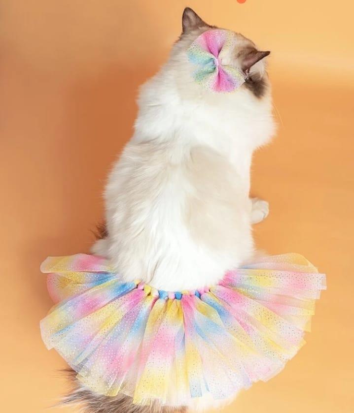 GONNA+MOLLETTINA MULTICOLOR PER CANI E GATTI