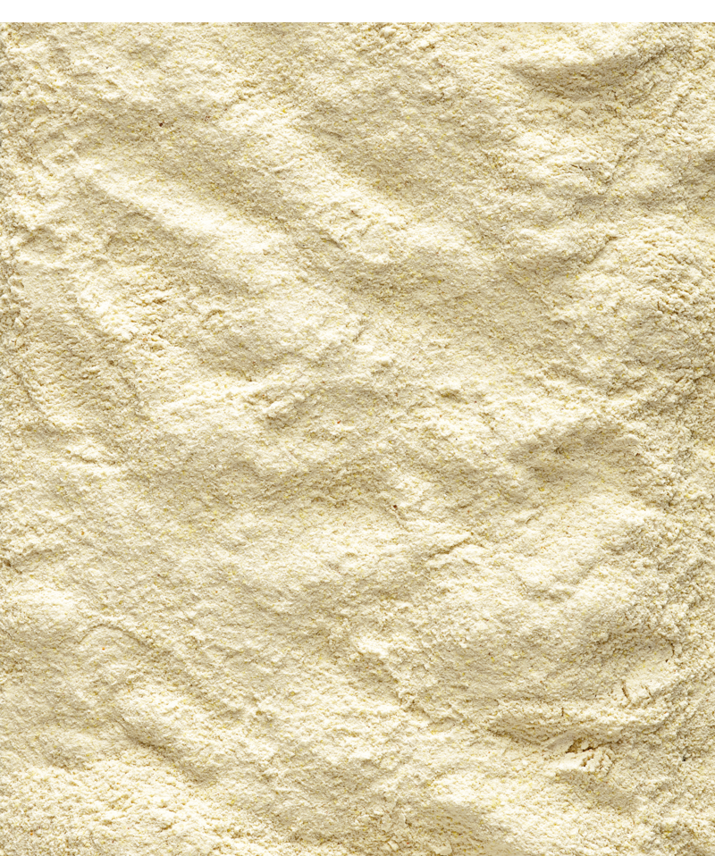 NUTRIBIRD A21   VERSELE-LAGA - Sanny Passione Ornitologica