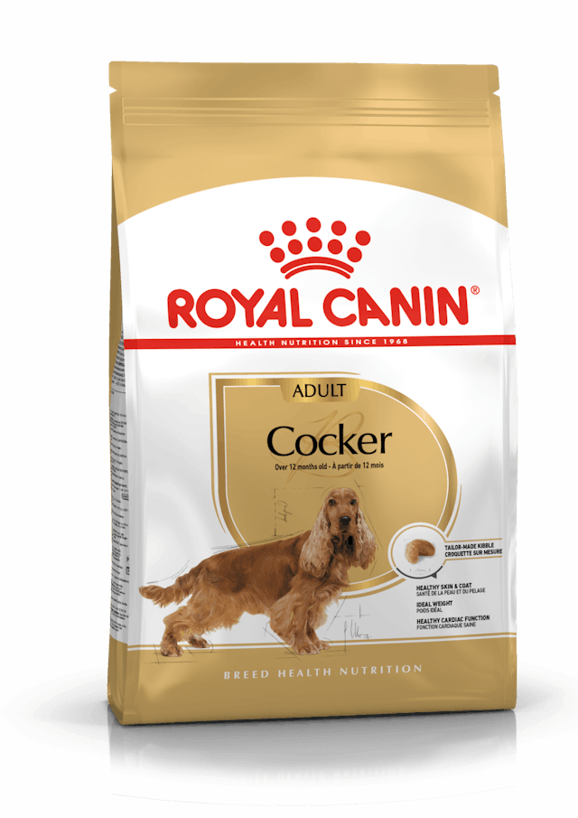 ROYAL CANIN ADULT COCKER