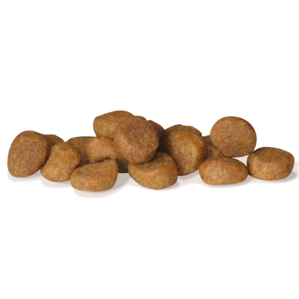 UNICA NATURA CROCCHETTE ANATRA,RISO E ARANCE - Sanny Passione Ornitologica