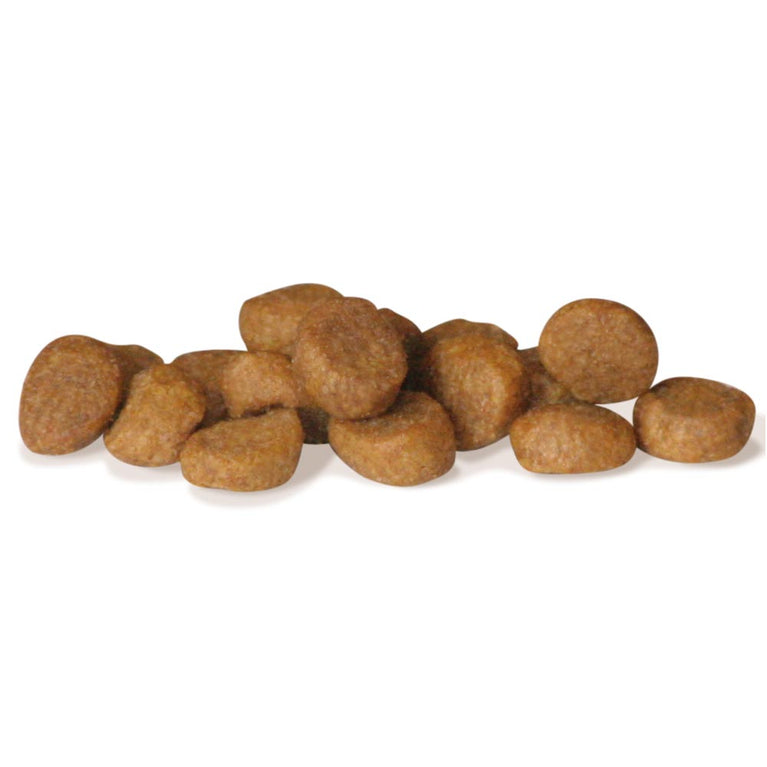 UNICA NATURA CROCCHETTE ANATRA,RISO E ARANCE - Sanny Passione Ornitologica