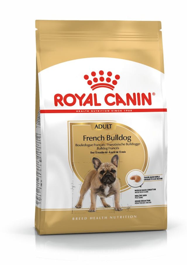 ROYAL CANIN ADULT FRENCH BULLDOG
