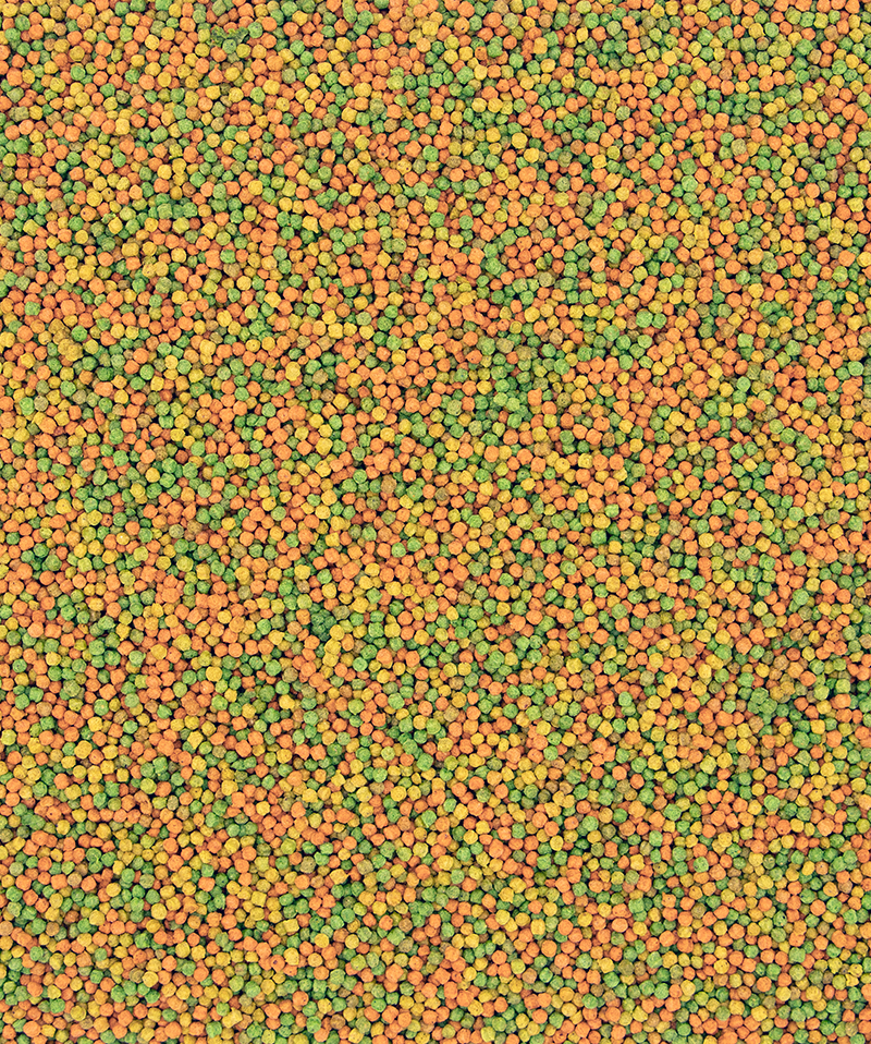 NUTRIBIRD B14 VERSELE-LAGA - Sanny Passione Ornitologica