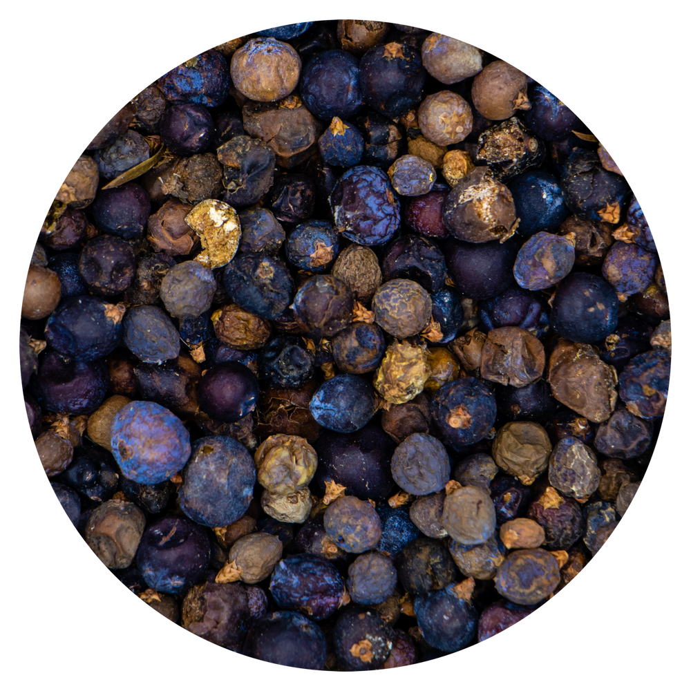 Le bacche di ginepro contengono tannini, diterpeni, pro-antociandine, flavonoidi, resine e antociani, con effetti anti-invecchiamento e antiossidanti. Possono essere mescolate ai semi per pappagalli, aggiunte a frutta/verdura. Ottime durante il canto e la muta degli uccelli.