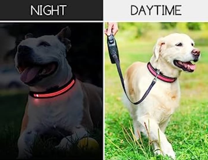 COLLARE LUMINOSO LED RICARICA USB