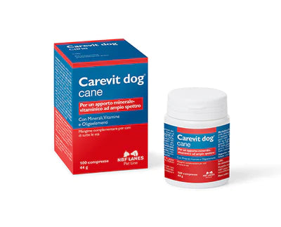 CAREVIT DOG