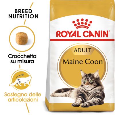 ROYAL CANIN ADULT MAINE COON GATTO