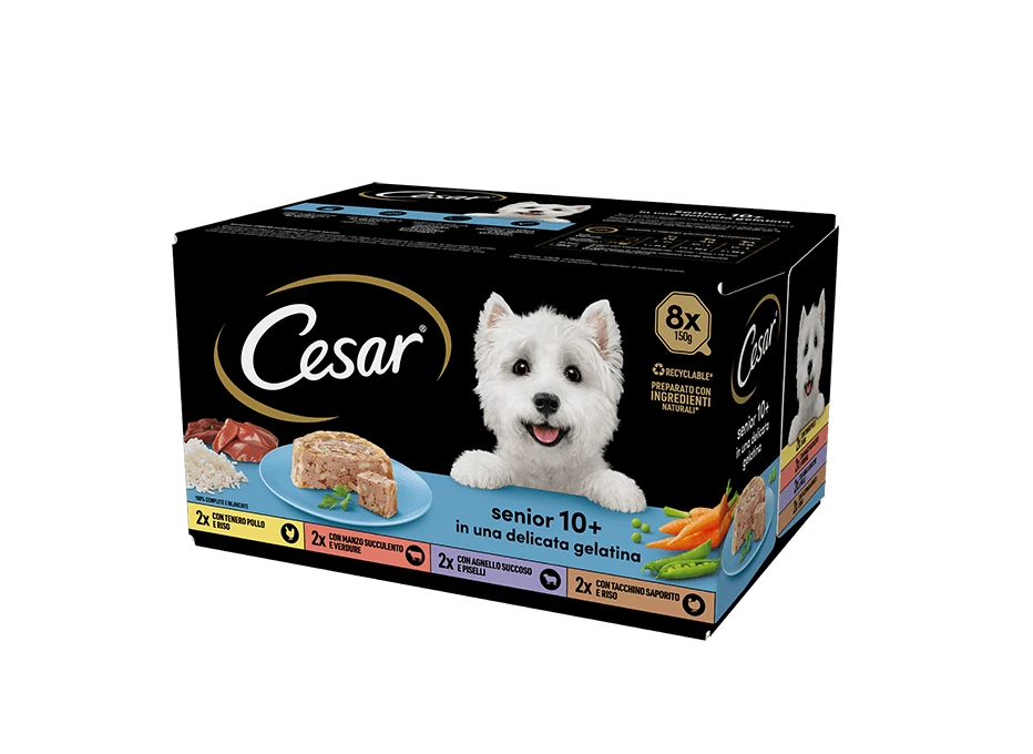 CESAR SENIOR 10+ IN UNA DELICATA GELATINA PACCO DA 8 PEZZIX150GR