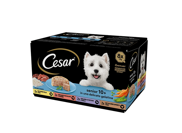 CESAR SENIOR 10+ IN UNA DELICATA GELATINA PACCO DA 8 PEZZIX150GR