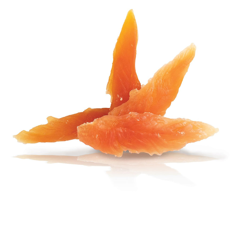 KID DOG PETTO DI POLLO, CARNE MORBIDA GLUTEN FREE NO SUGAR 80gr