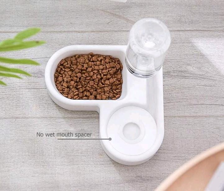 CIOTOLA PER ACQUA E CIBO