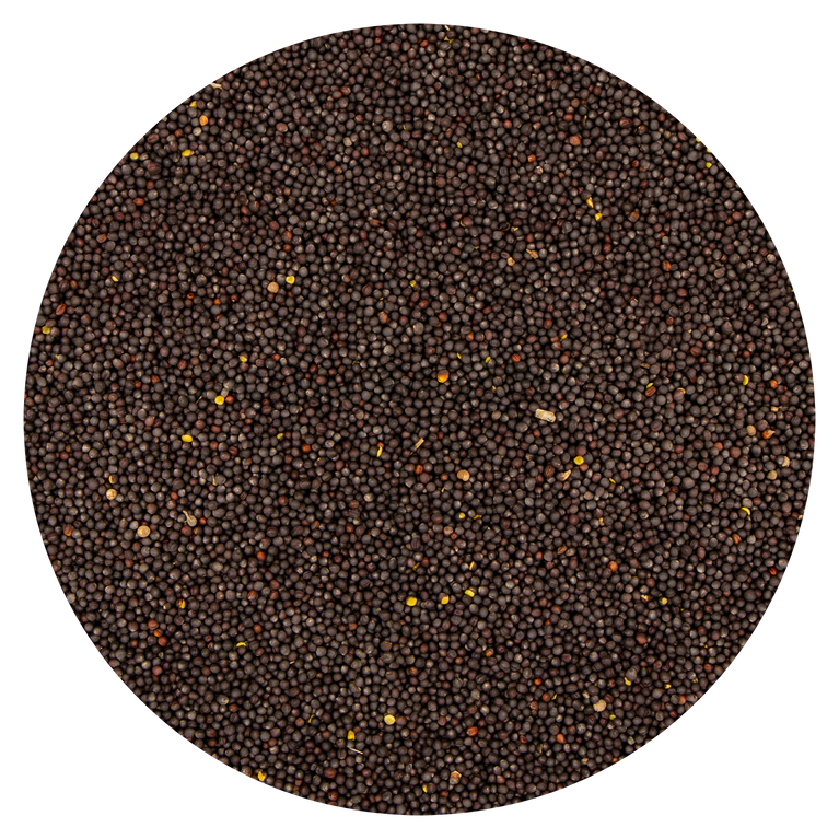 SEMI DI COLZA VAESEN