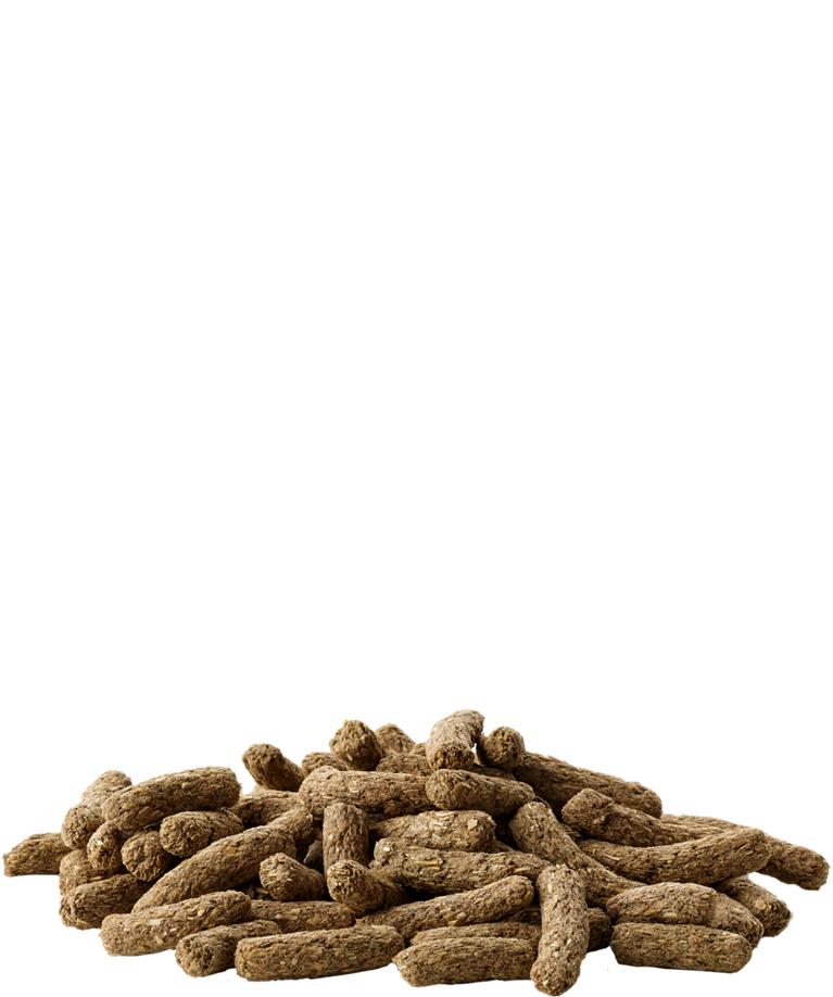 VERSELE-LAGA COMPLETE Cavia-Porcellino d'india