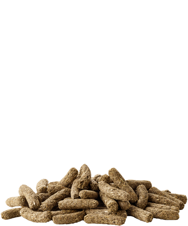 VERSELE-LAGA COMPLETE CUNI ADULT