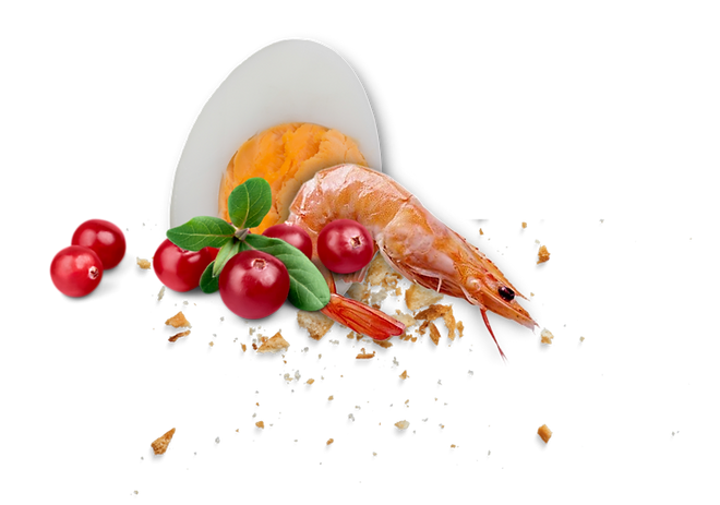 EGG FOOD EASY (pastoncino PAPPAGALLI secco con uova, bacche, & probiotici) YOUR PARROT