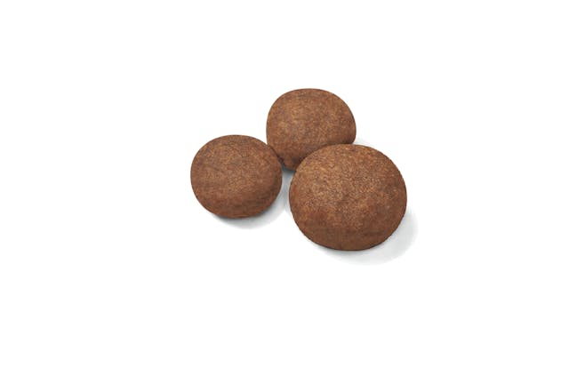 ROYAL CANIN PUPPY MEDIUM 2-12 MONTHS