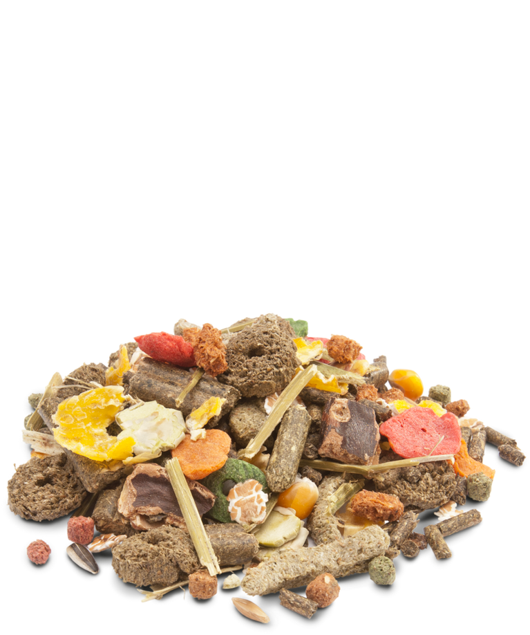 VERSELE-LAGA CRISPY MUESLI RABBITS