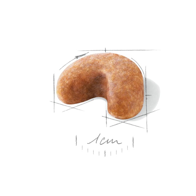 ROYAL CANIN PUPPY FRENCH BULLDOG