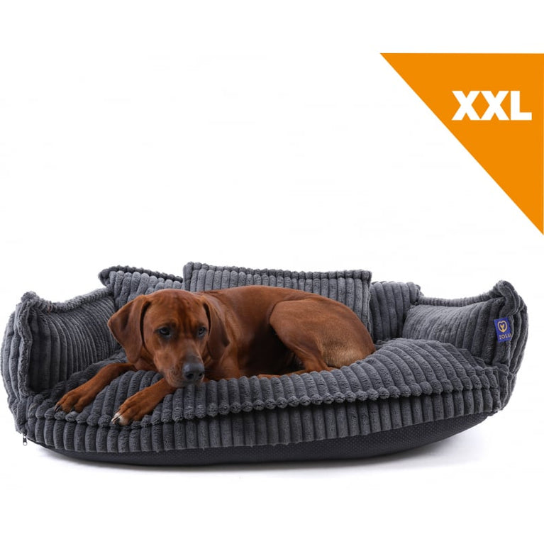 Cuccia per cane e gatto Happlace Grigio