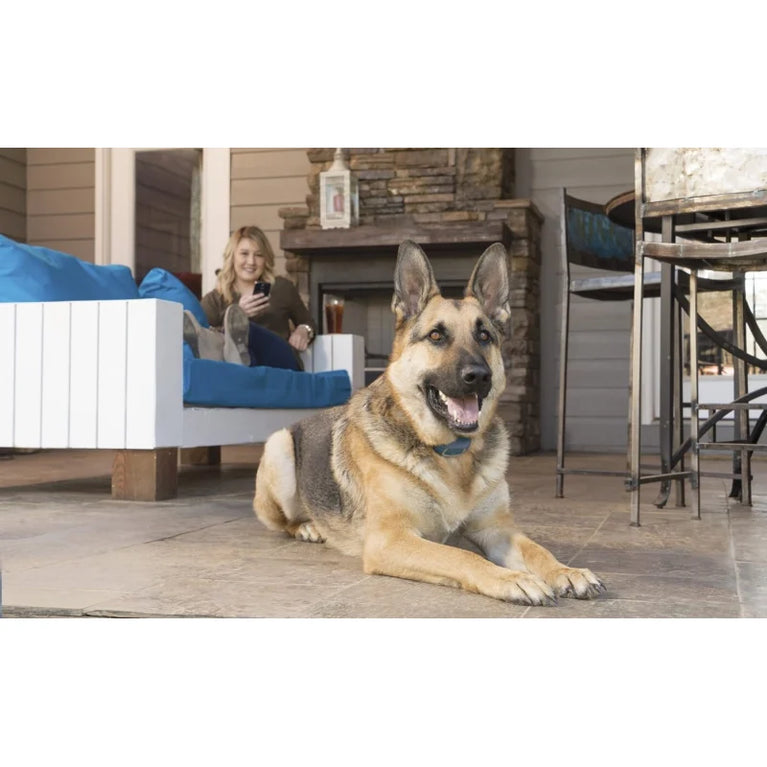 Collare da addestramento SMART DOG Bluetooth