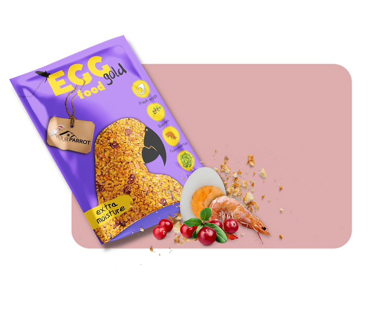 EGG FOOD GOLD SOFT (pastoncino PAPPAGALLI morbido con bacche e uova) YOUR PARROT