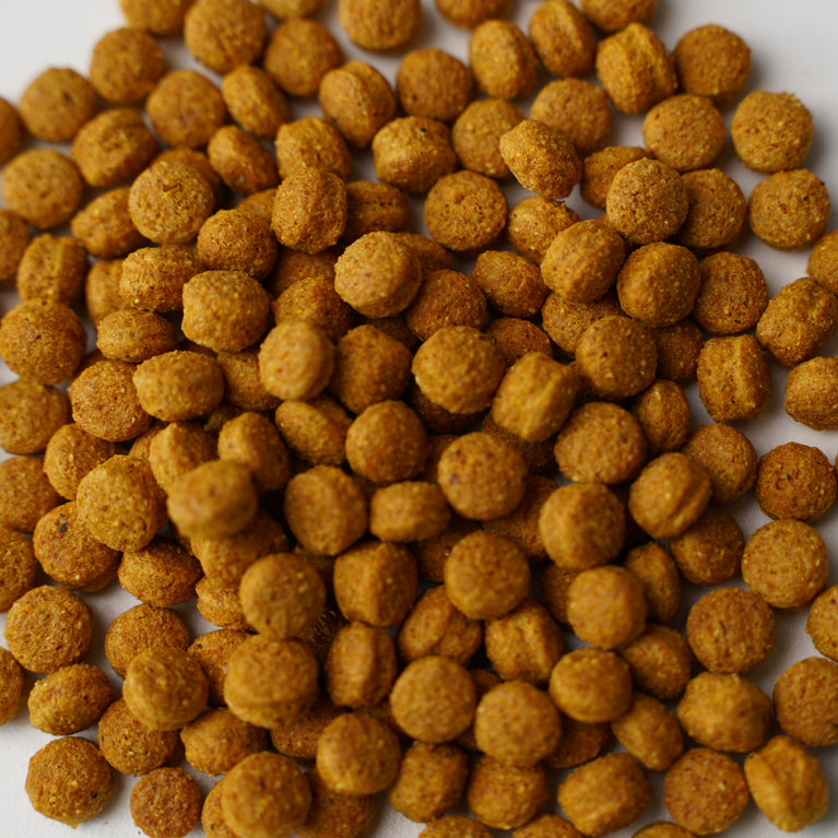 YOUR PARROT ESTRUSI HERBAL BLEND - MISCELA DI ERBE VITAL PELLETS