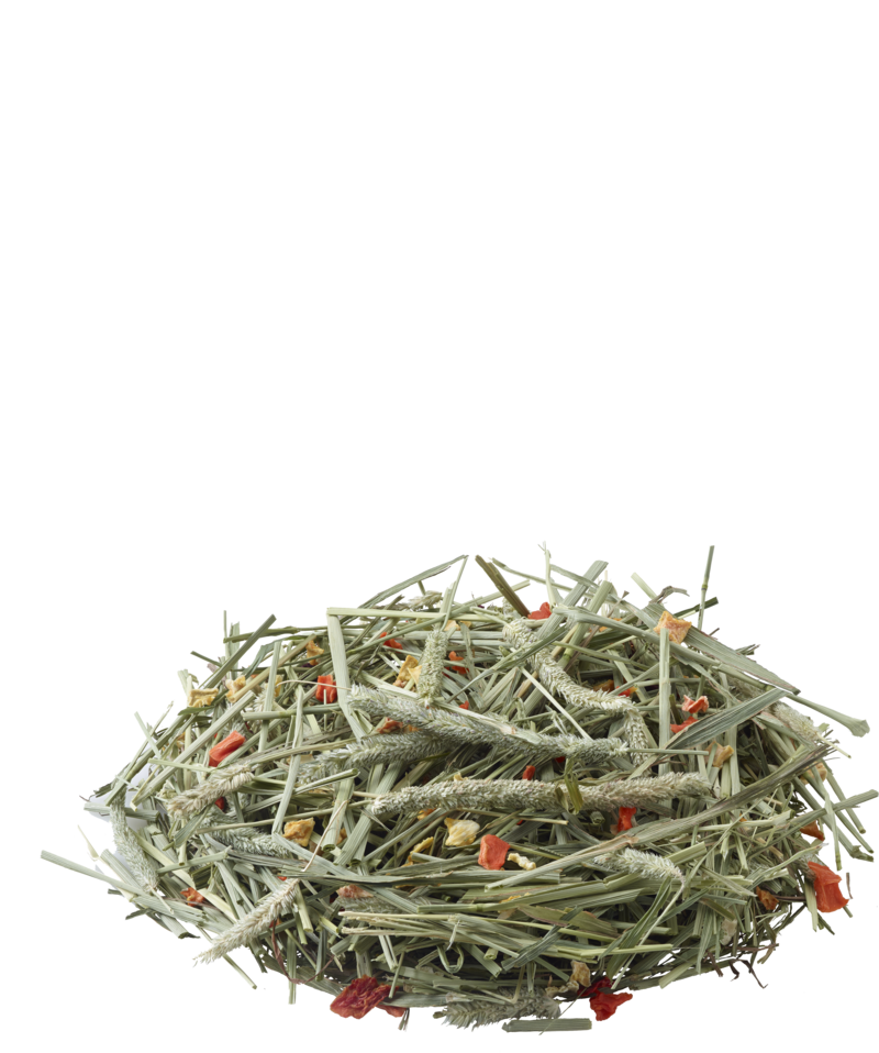 VERSELE-LAGA NATURE TIMOTHY HAY FIENO CON CAROTA E ZUCCA