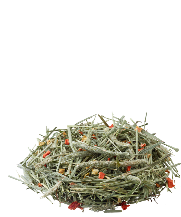 VERSELE-LAGA NATURE TIMOTHY HAY FIENO CON CAROTA E ZUCCA