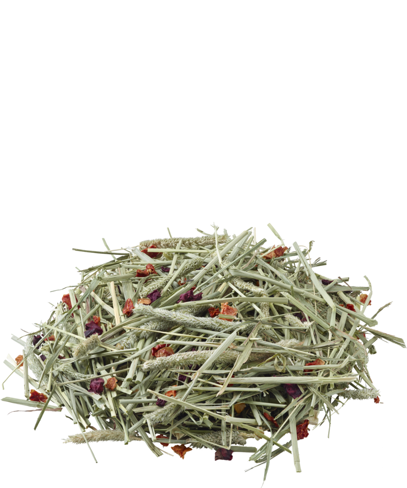 VERSELE-LAGA NATURE TIMOTHY HAY FIENO CON POMODORO E BARBABIETOLA