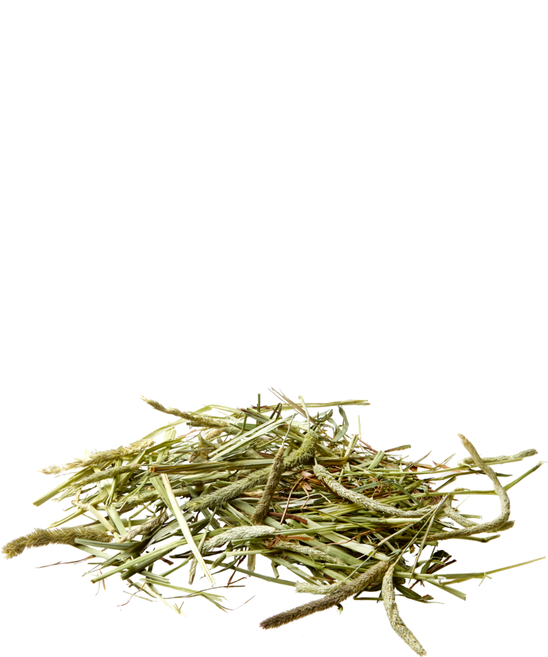 VERSELE-LAGA NATURE TIMOTHY HAY