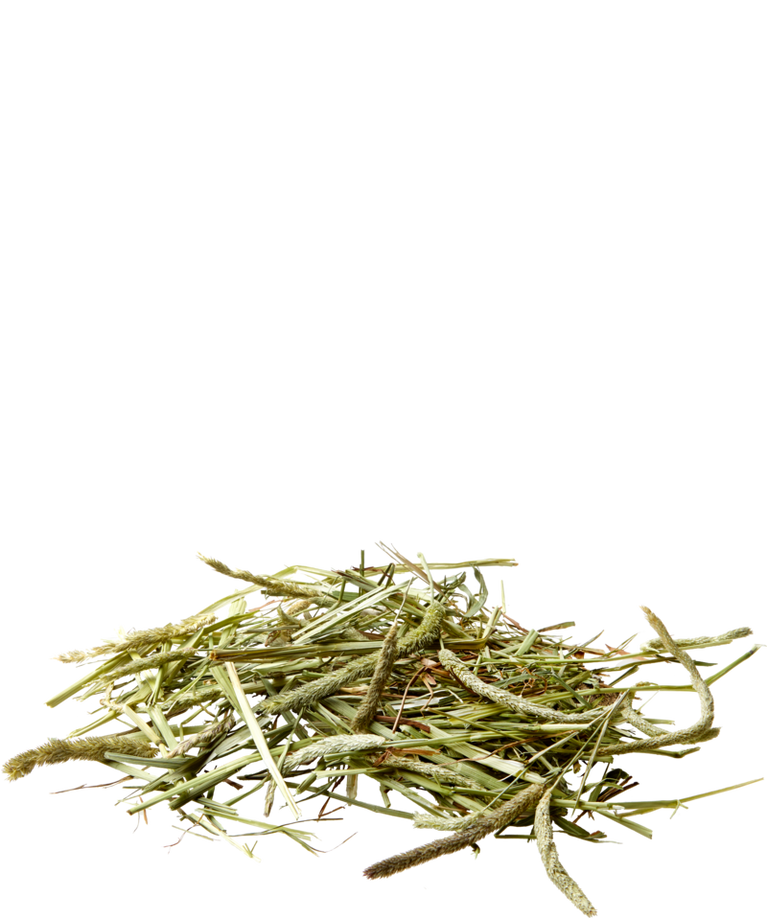 VERSELE-LAGA NATURE TIMOTHY HAY