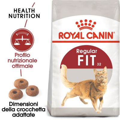 ROYAL CANIN REGULAR FIT GATTO