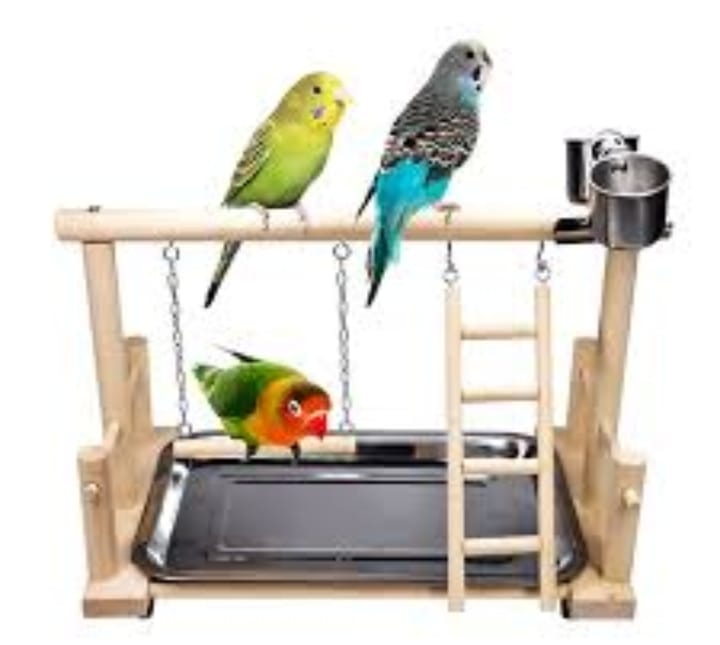 GIOCO PER UCCELLI ADDOMESTICATI