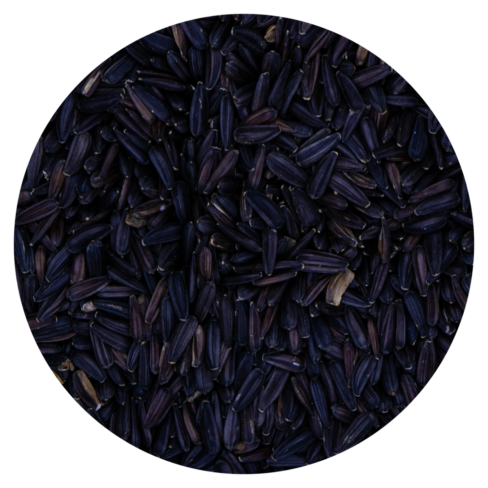 SEMI DI GIRASOLE PICCOLO NERO VAESEN