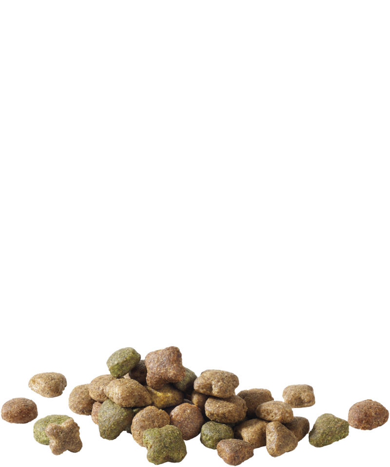 HAPPY LIFE ADULT BEEF FLAVOUR - Sanny Passione Ornitologica