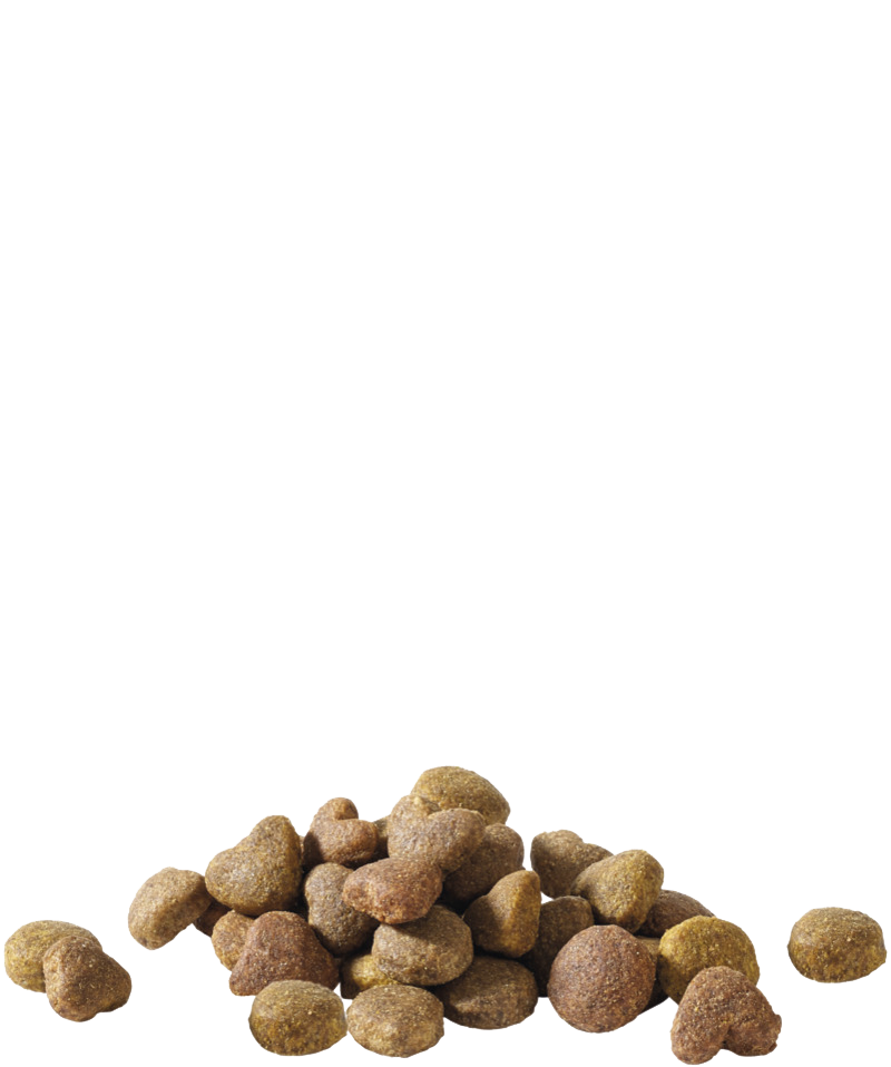 HAPPY LIFE ADULT WITH CHICKEN - Sanny Passione Ornitologica