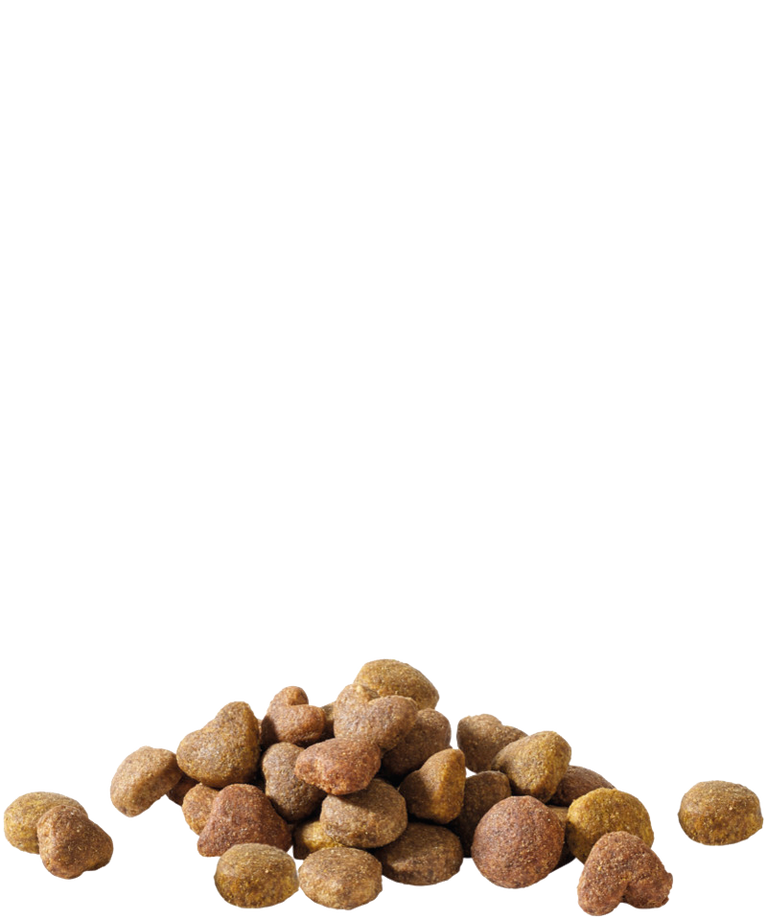 HAPPY LIFE ADULT WITH CHICKEN - Sanny Passione Ornitologica