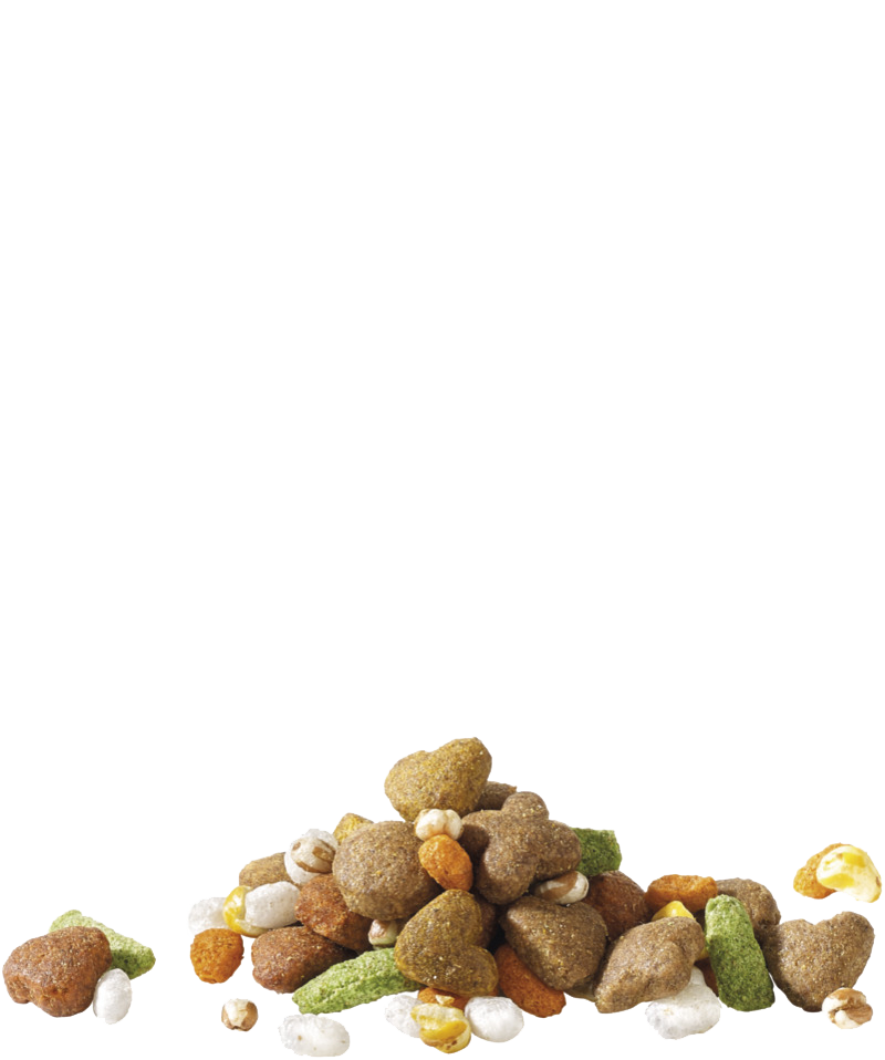 HAPPY LIFE ADULT DINNER WITH CHICKEN - Sanny Passione Ornitologica