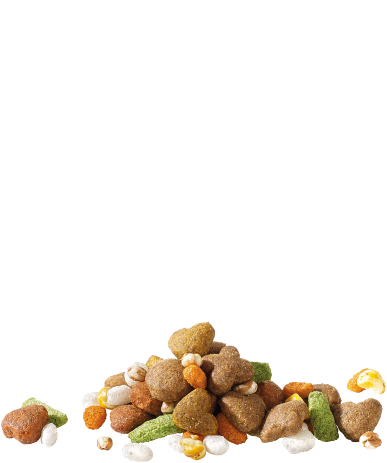 HAPPY LIFE ADULT DINNER WITH CHICKEN - Sanny Passione Ornitologica