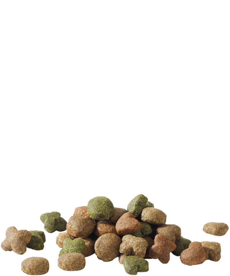 HAPPY LIFE ADULT LAMB - Sanny Passione Ornitologica