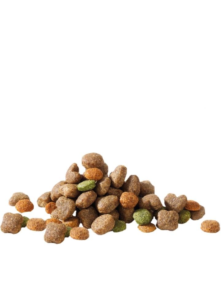 HAPPY LIFE ADULT MINI WITH LAMB - Sanny Passione Ornitologica