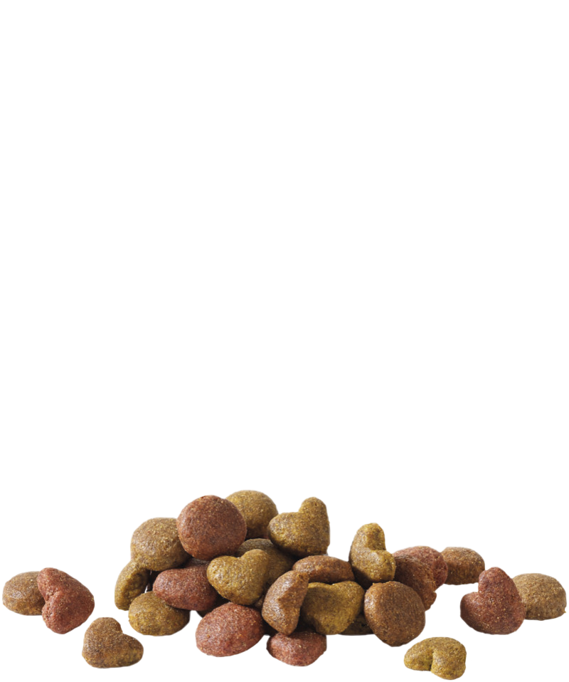 HAPPY LIFE ADULT WITH SALMON - Sanny Passione Ornitologica