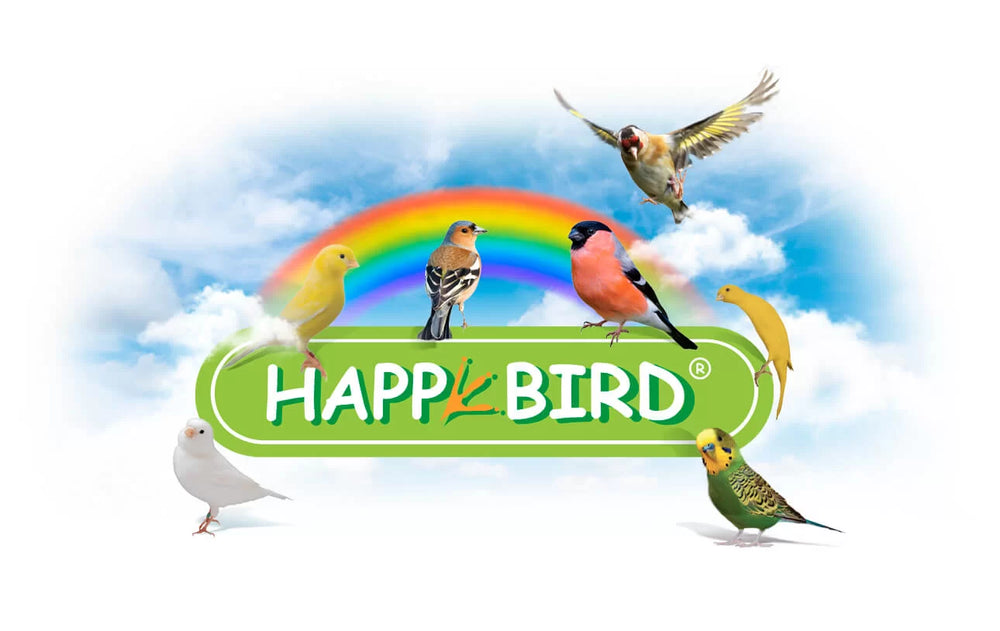 KOKKORITO PASTONCINO PAPPAGALLI HAPPY BIRD