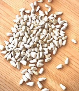 SEMI DI CARTAMO VAESEN - Sanny Passione Ornitologica