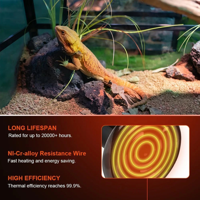 Lampada di Ceramica per Rettile, Heat Lamp, Riscaldante E27 100w