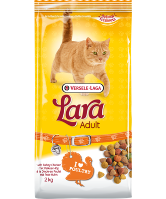 LARA ADULT WITH TURKEY CHICKEN - Sanny Passione Ornitologica