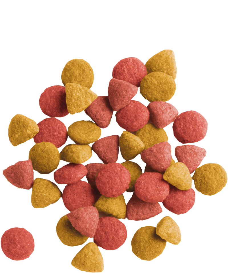 LARA ADULT STERILIZED WITH CHICKEN LIGHT - Sanny Passione Ornitologica