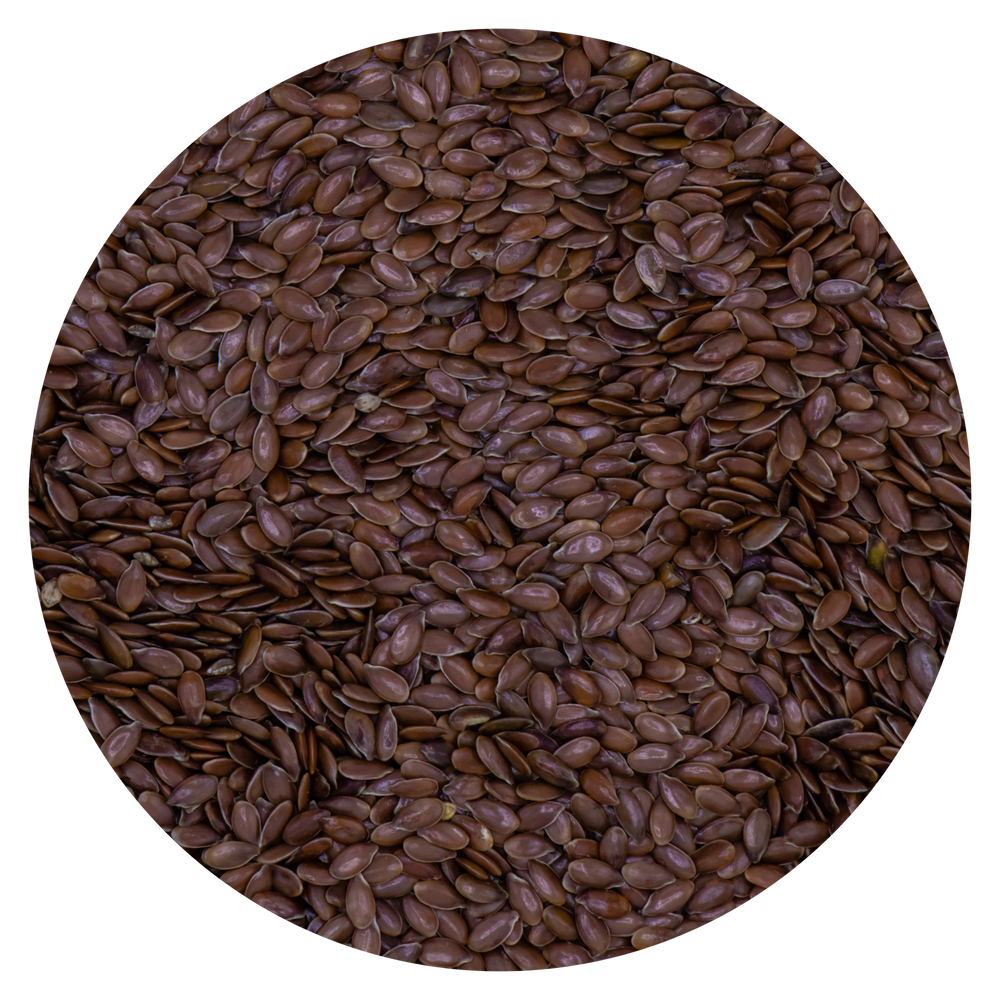 SEMI DI LINO ROSSO VAESEN